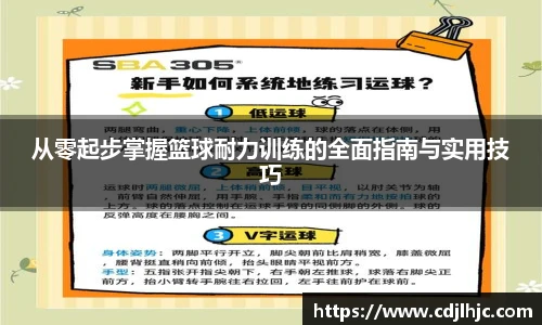 从零起步掌握篮球耐力训练的全面指南与实用技巧